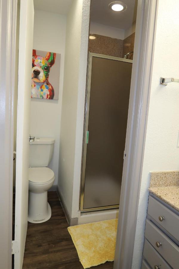 Houston Medical Center 2Br Loft With Pool Near Nrg Stadium Apartment Exterior photo